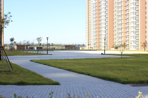 沙河鎮(zhèn)七里渠南北村土地一級(jí)開發(fā)項(xiàng)目A、B地塊市政工程-道路及管線工程