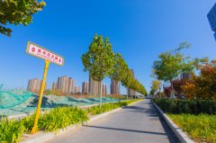 北京科技商務(wù)區(qū)（TBD）朱辛莊北路（回昌東路~七燕路）道路工程