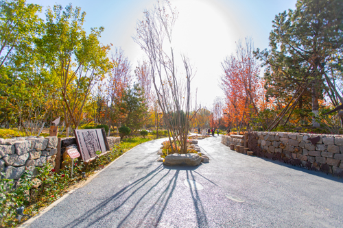 回龍觀體育文化公園