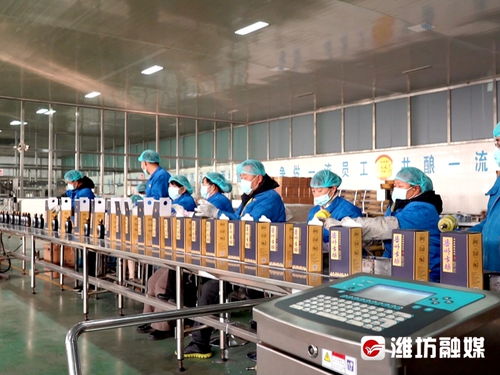 濰坊農品 出海 繪出向上曲線