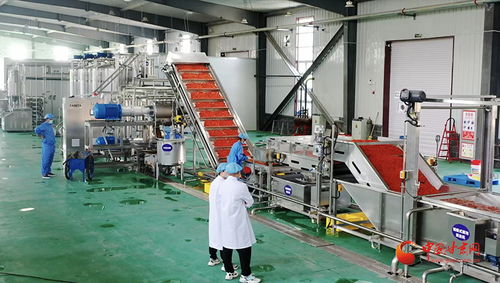 玉門 百企興百村 輸血更造血