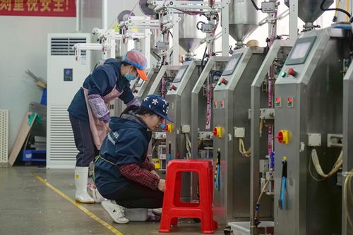 港北區打造高品質寵物飼料，擦亮農業產業品牌